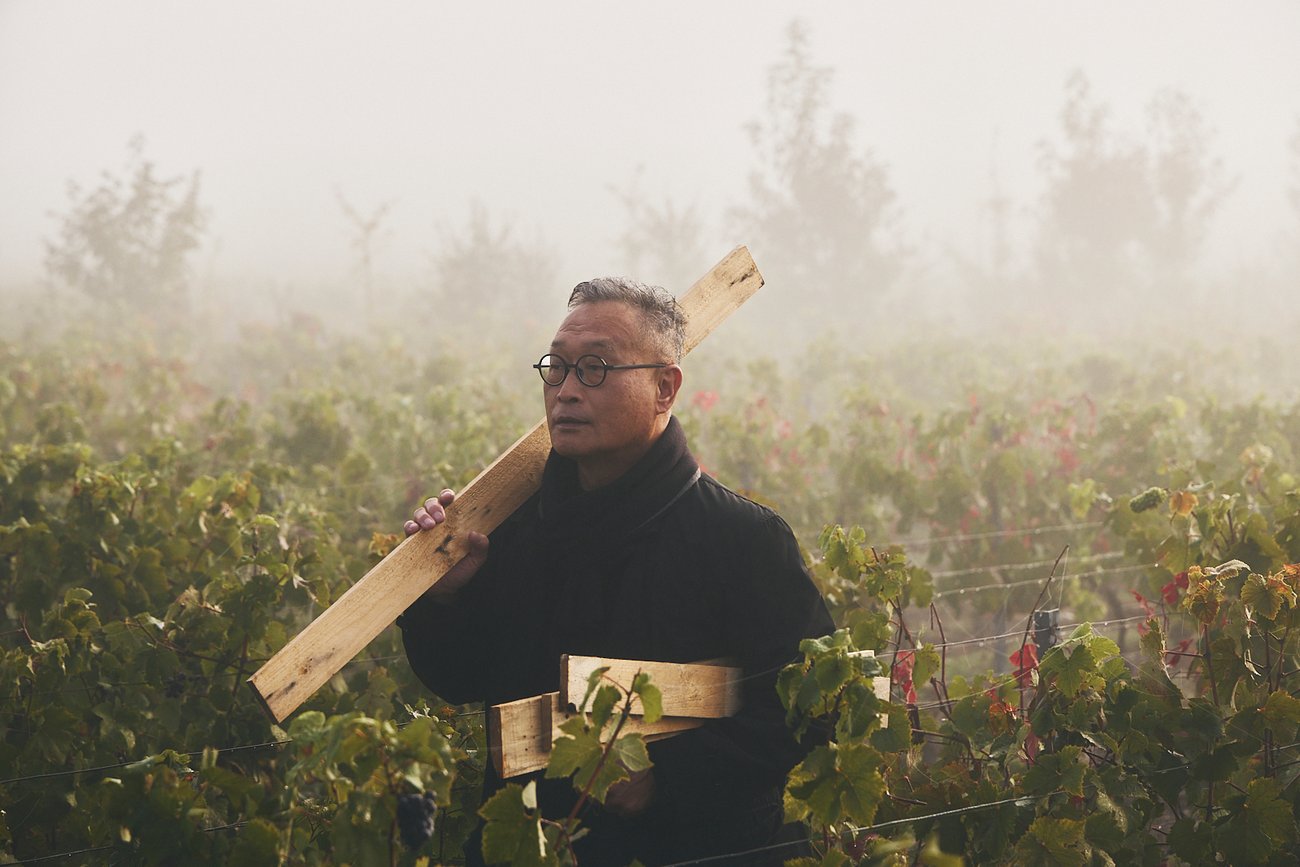 Collectionner l&rsquo;art et créer avec la nature : la vision Ruinart